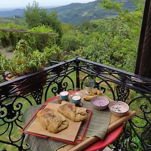 Bed & Breakfast La Collina Olistica